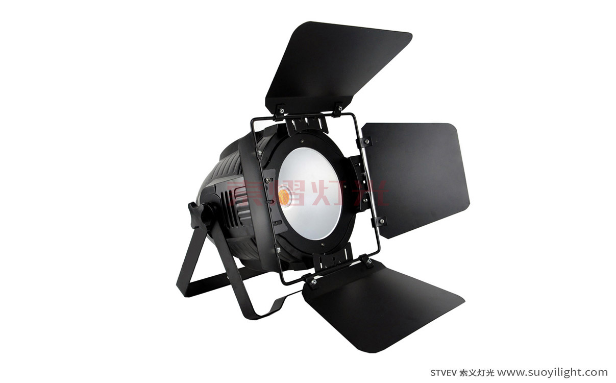 Poland200W COB LED Par Light
