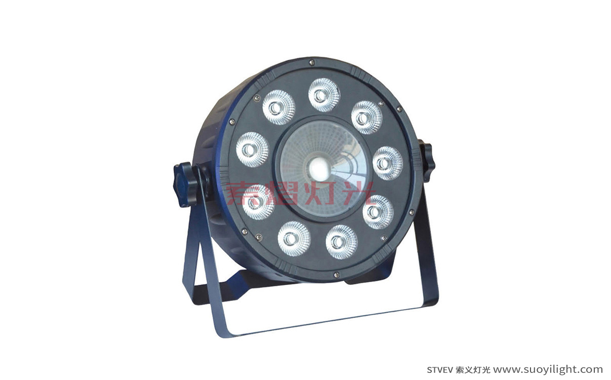 Poland9+1 LED Plastic Par Light