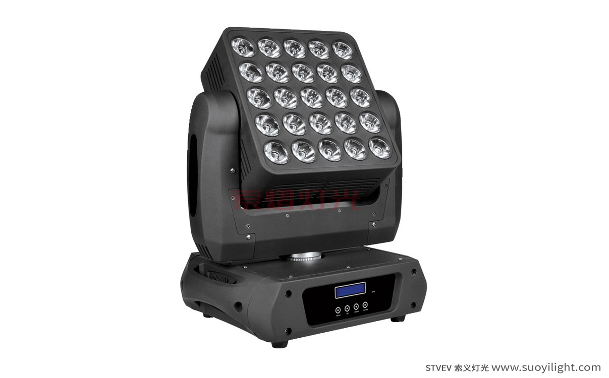 Poland25pcs Matrix LED Light
