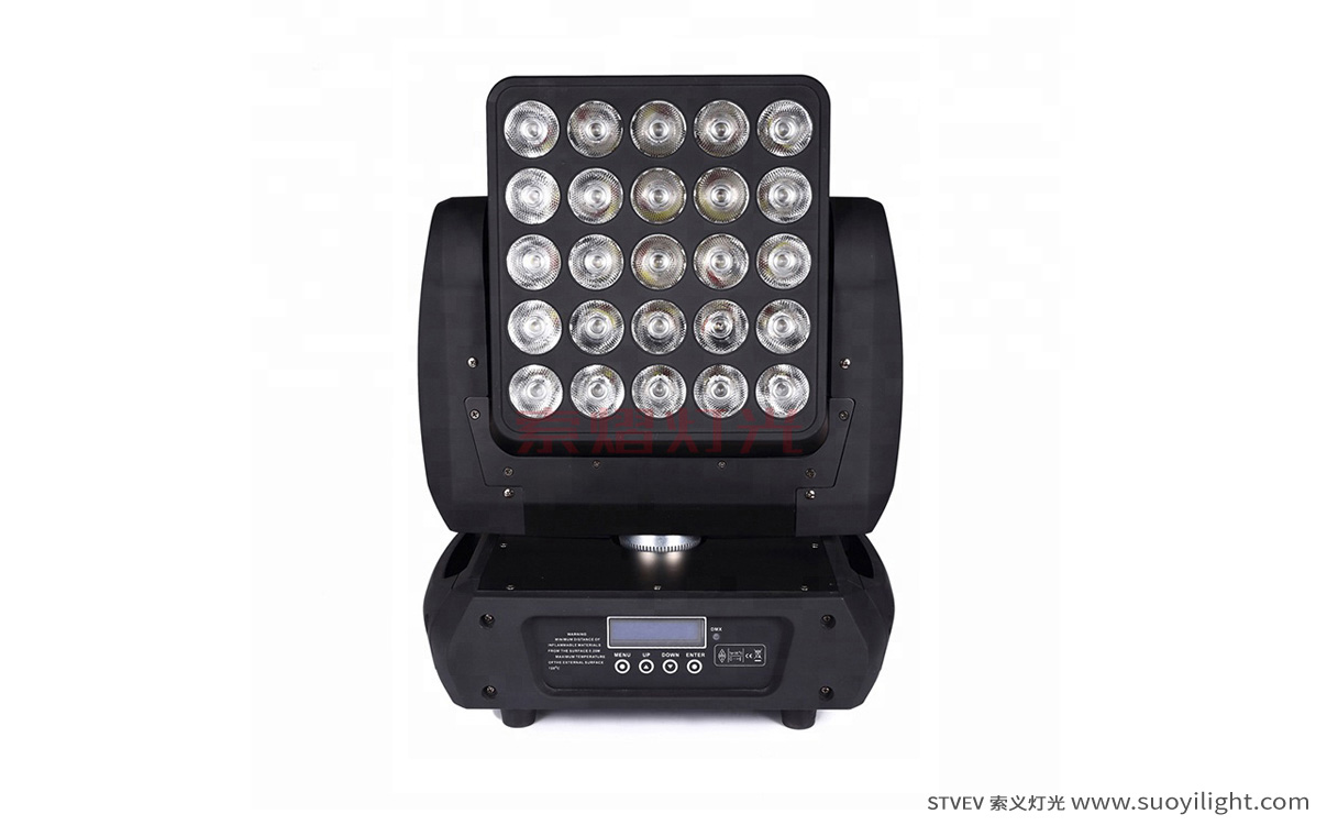 Poland25pcs Matrix LED Light