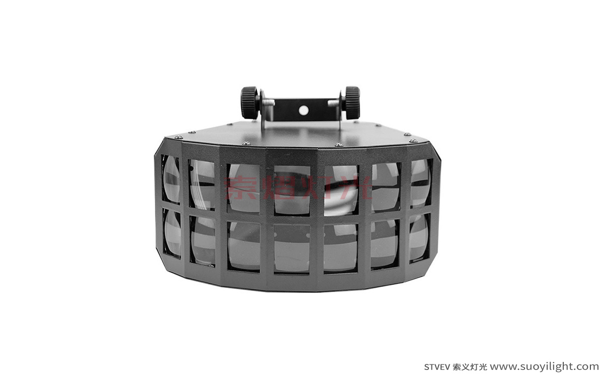 PolandLED Double Butterfly Light