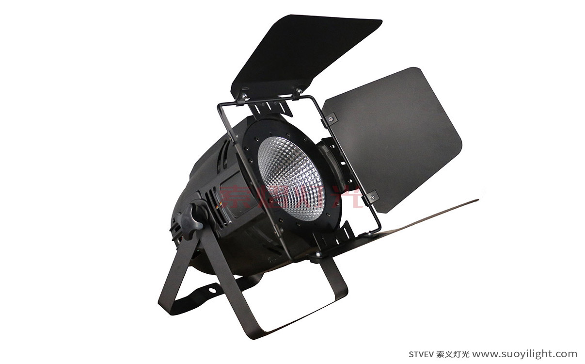 Poland100W LED COB Par Light
