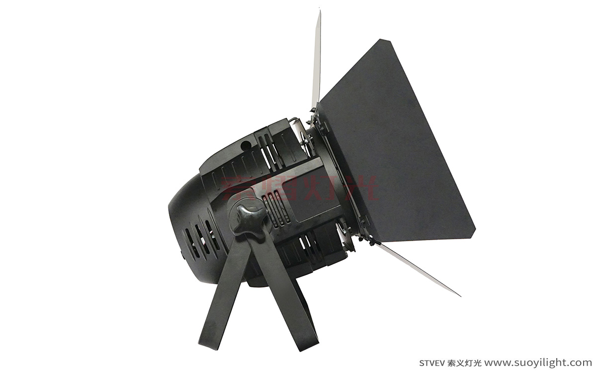 Poland100W LED COB Par Light