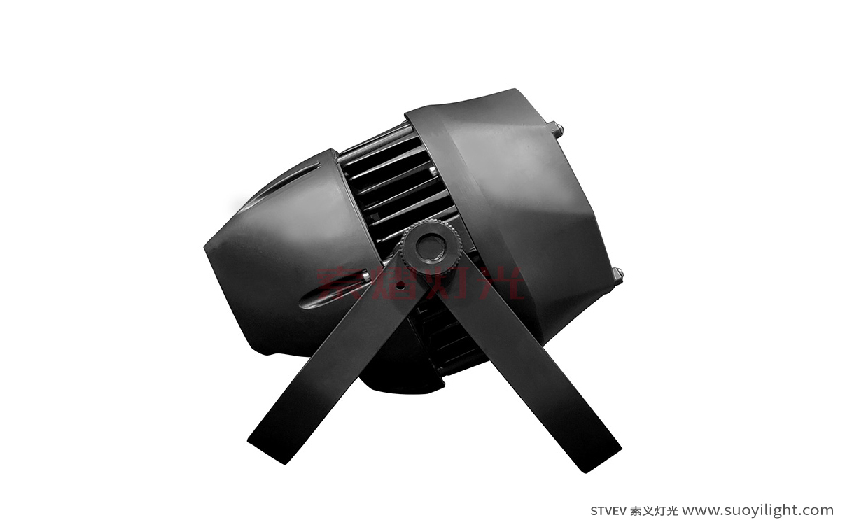 Poland200W Waterproof COB Par Light
