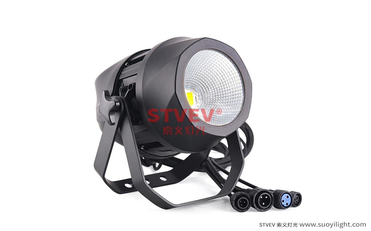 Poland200W Waterproof COB Par Light