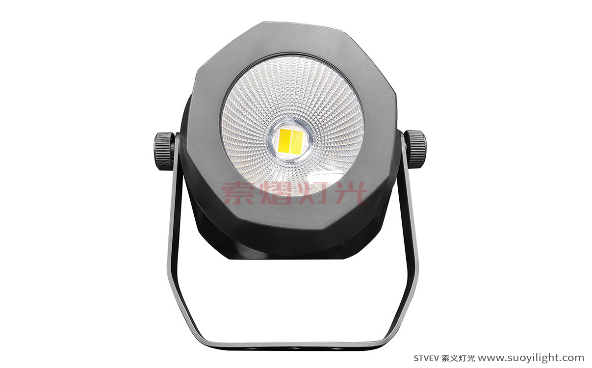 Poland200W Waterproof COB Par Light