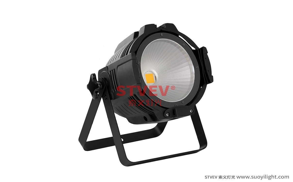 Poland100W 面光灯不带遮光板